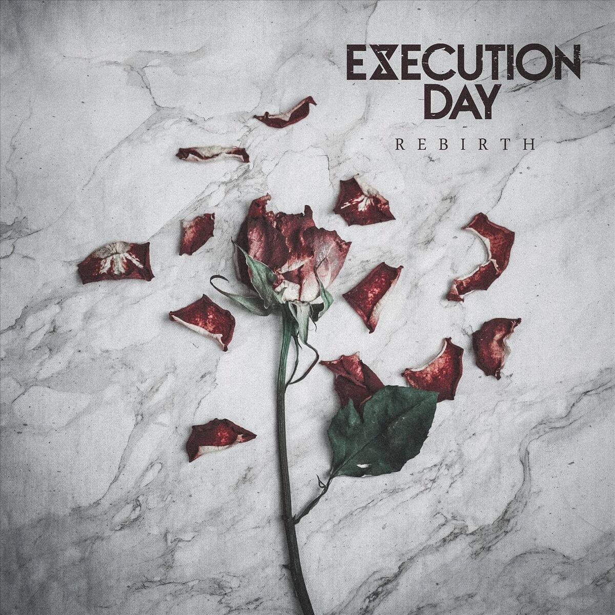 Album cover of Rebirth