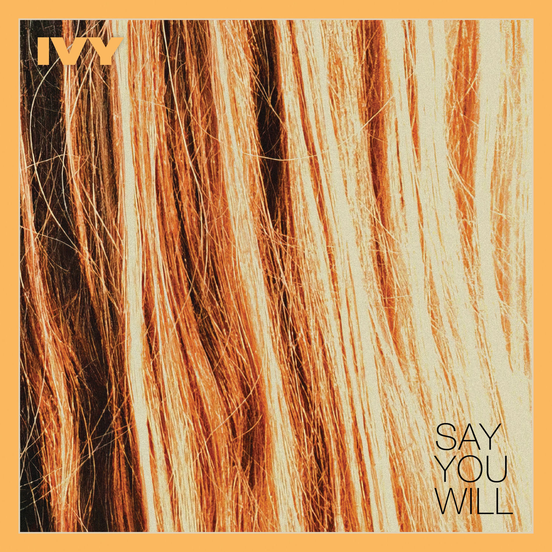Album cover of Say You Will