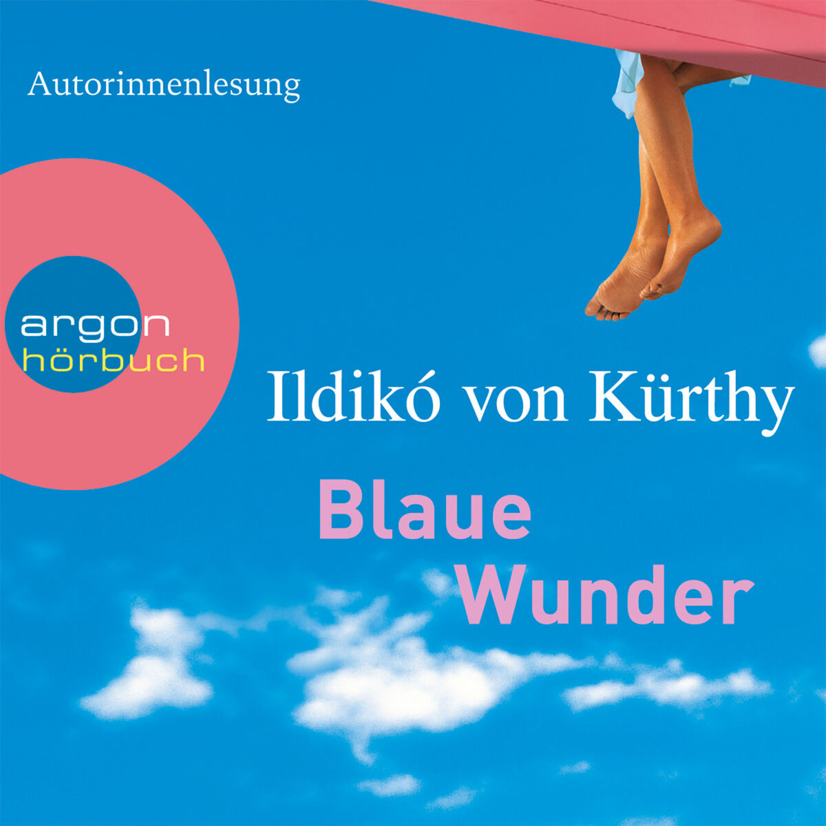 Album cover of Blaue Wunder (Gekürzte Fassung)