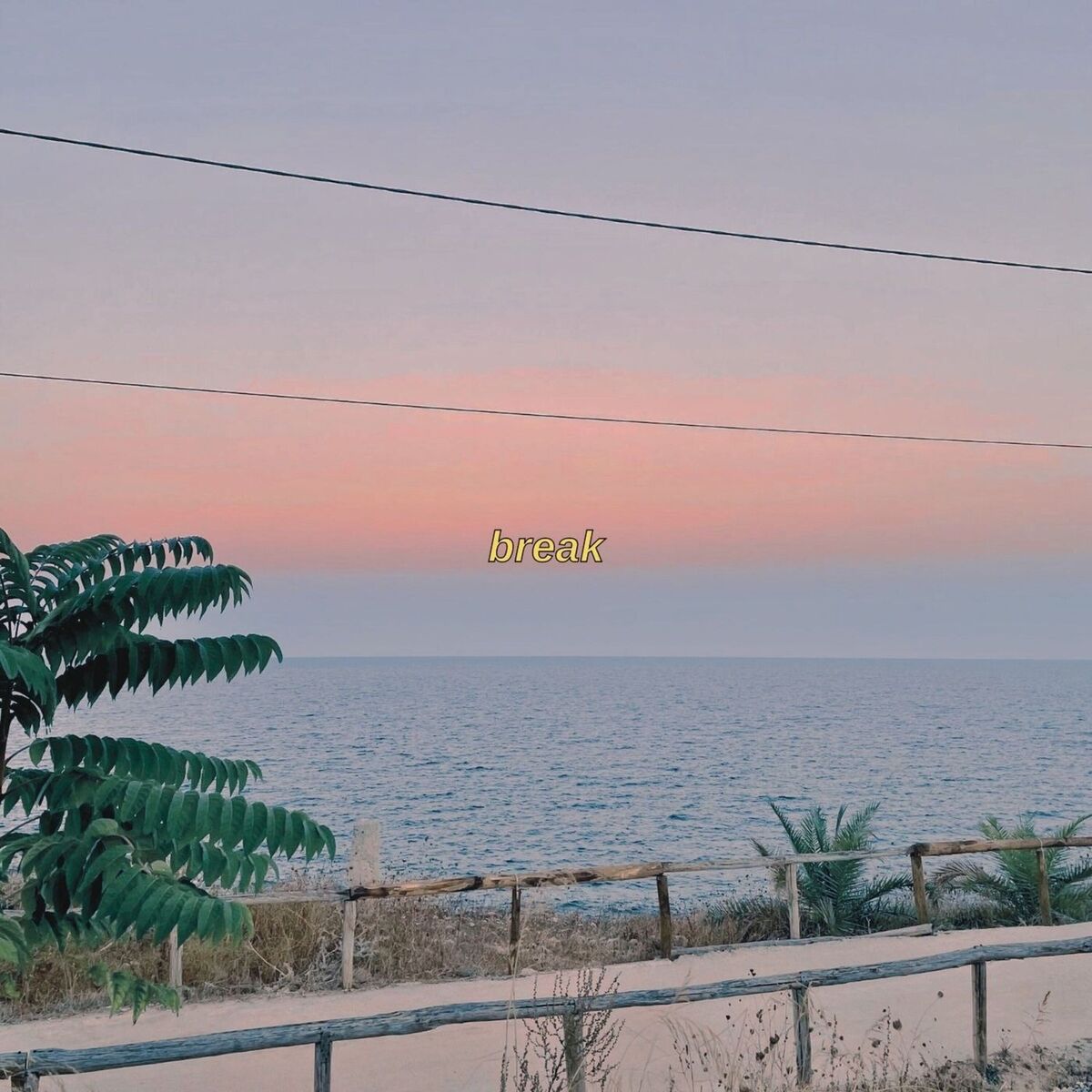 Album cover of break