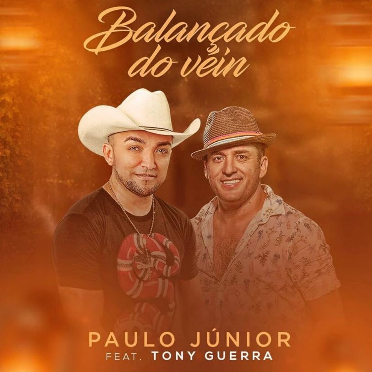Album cover of Balançado do Veín
