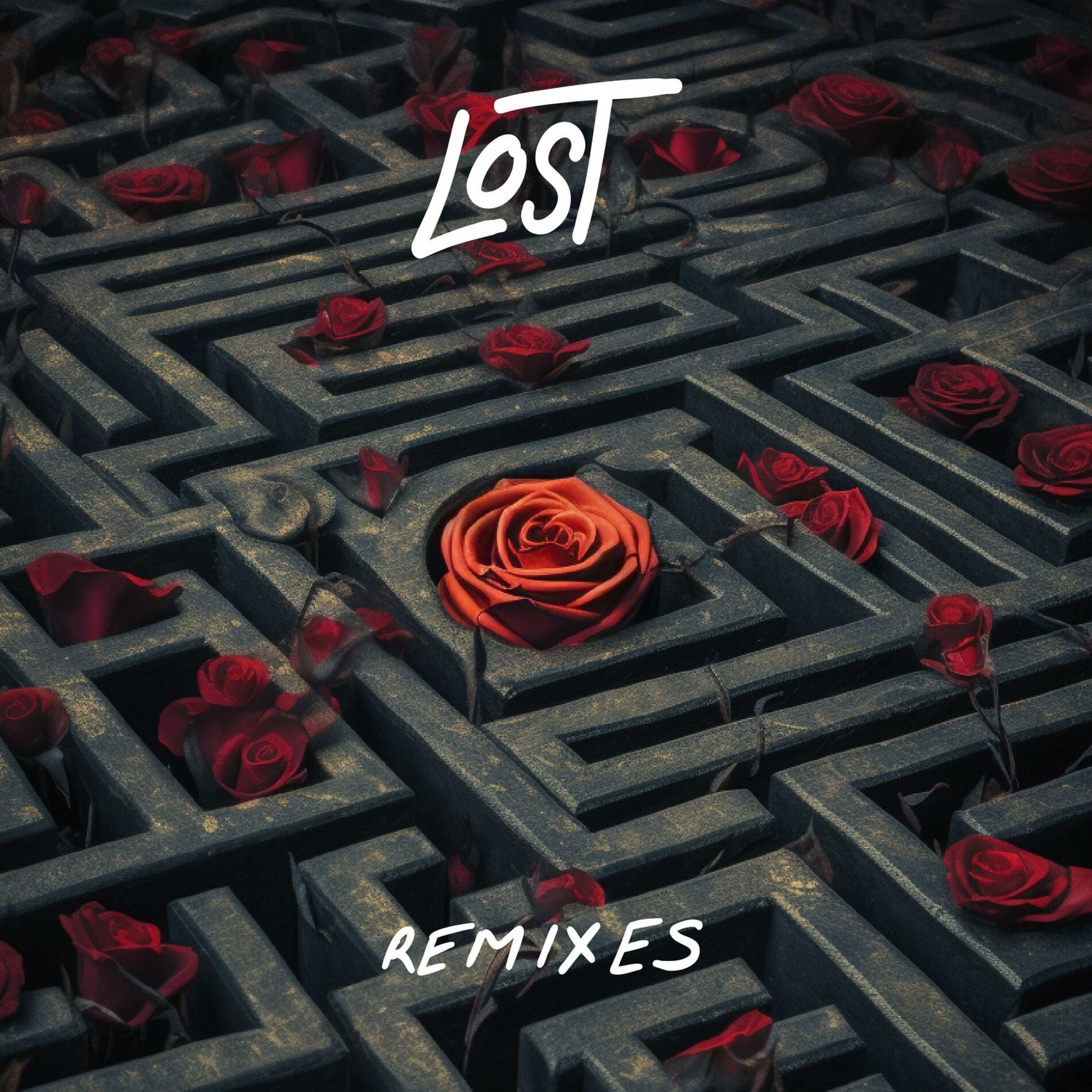 Album cover of Lost Remixes