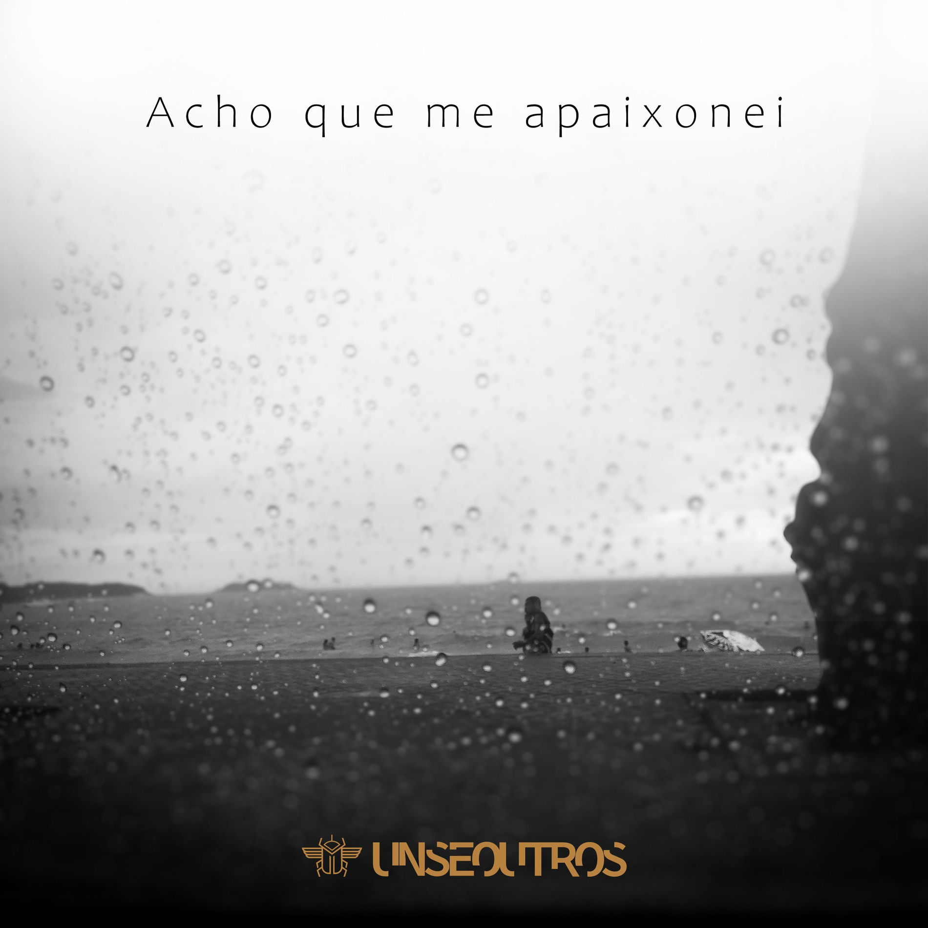 Album cover of Acho Que Me Apaixonei