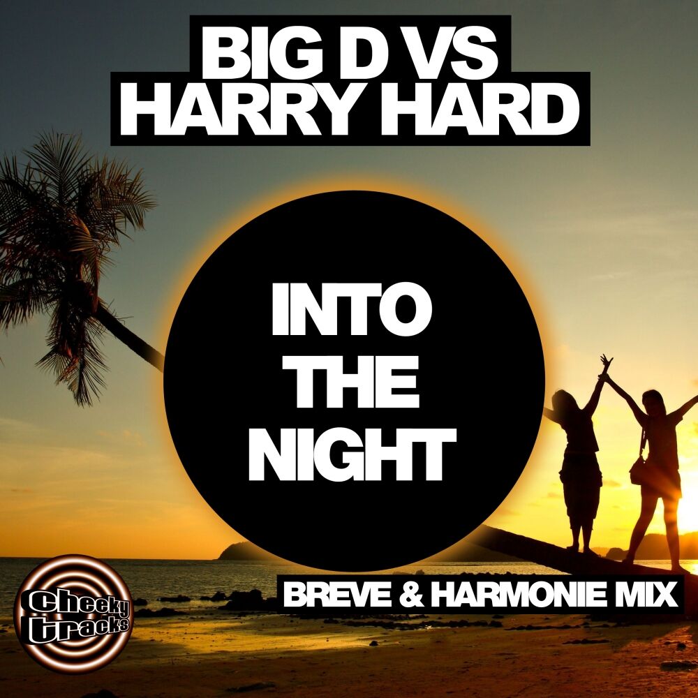 Picture of Into The Night (Breve & Harmonie Remix)