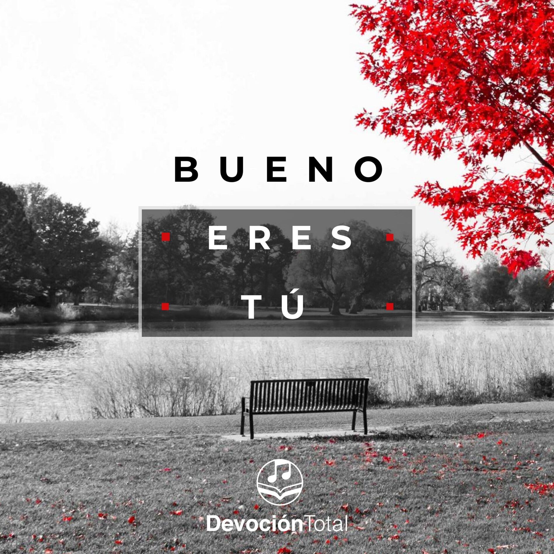 Album cover of Bueno Eres Tú