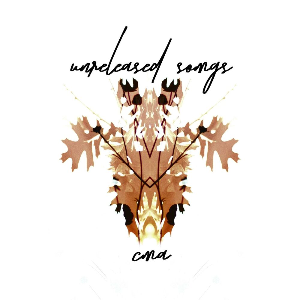 Picture of Unreleased Songs
