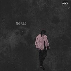 Cover of Time Flies