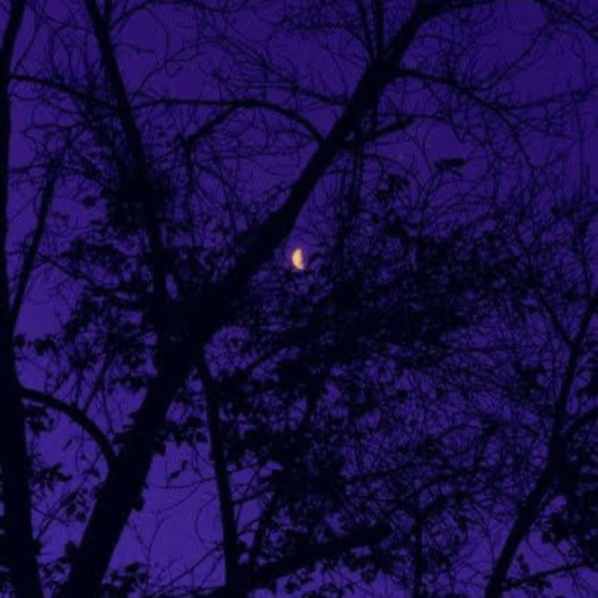 Album cover of Chá