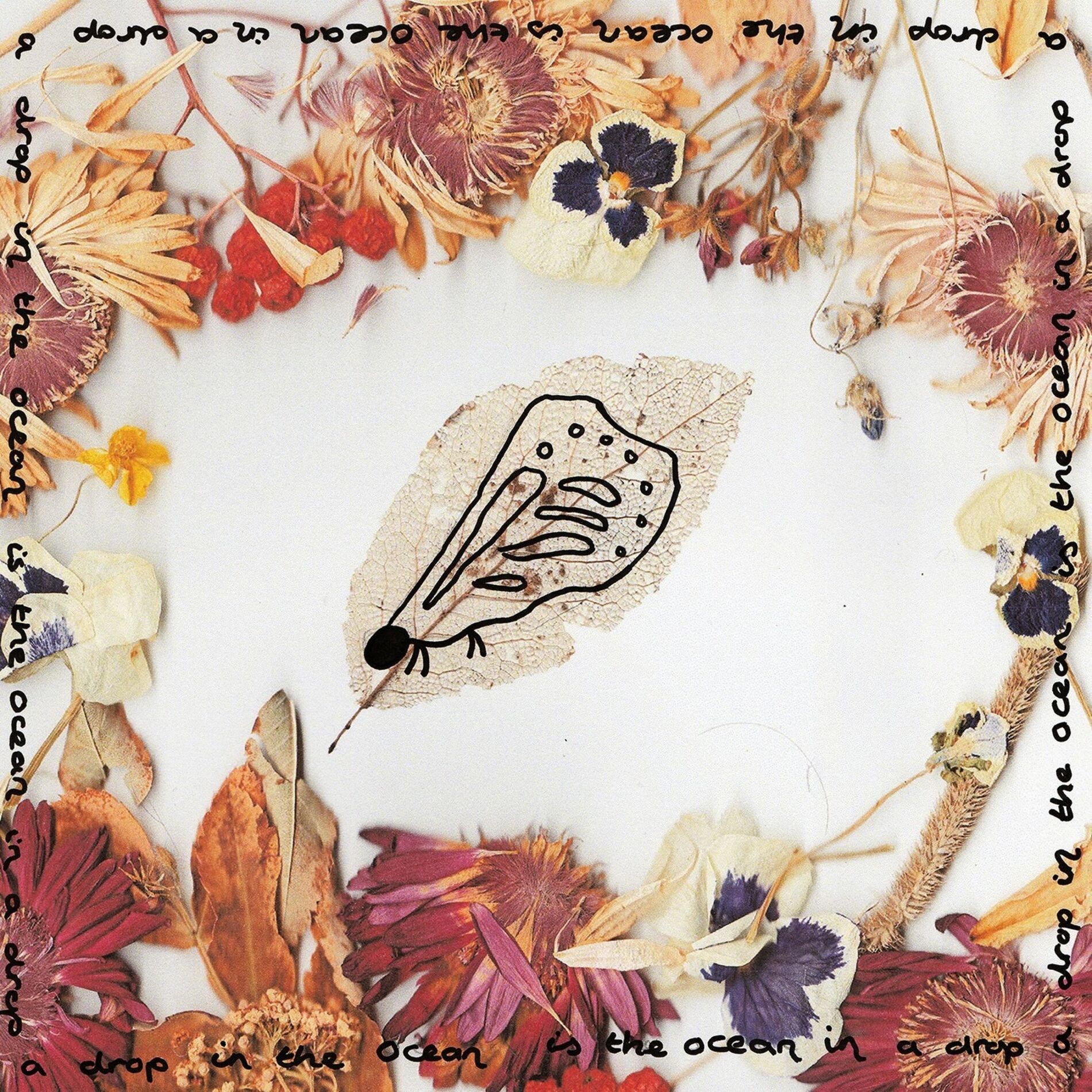 Album cover of cocoon