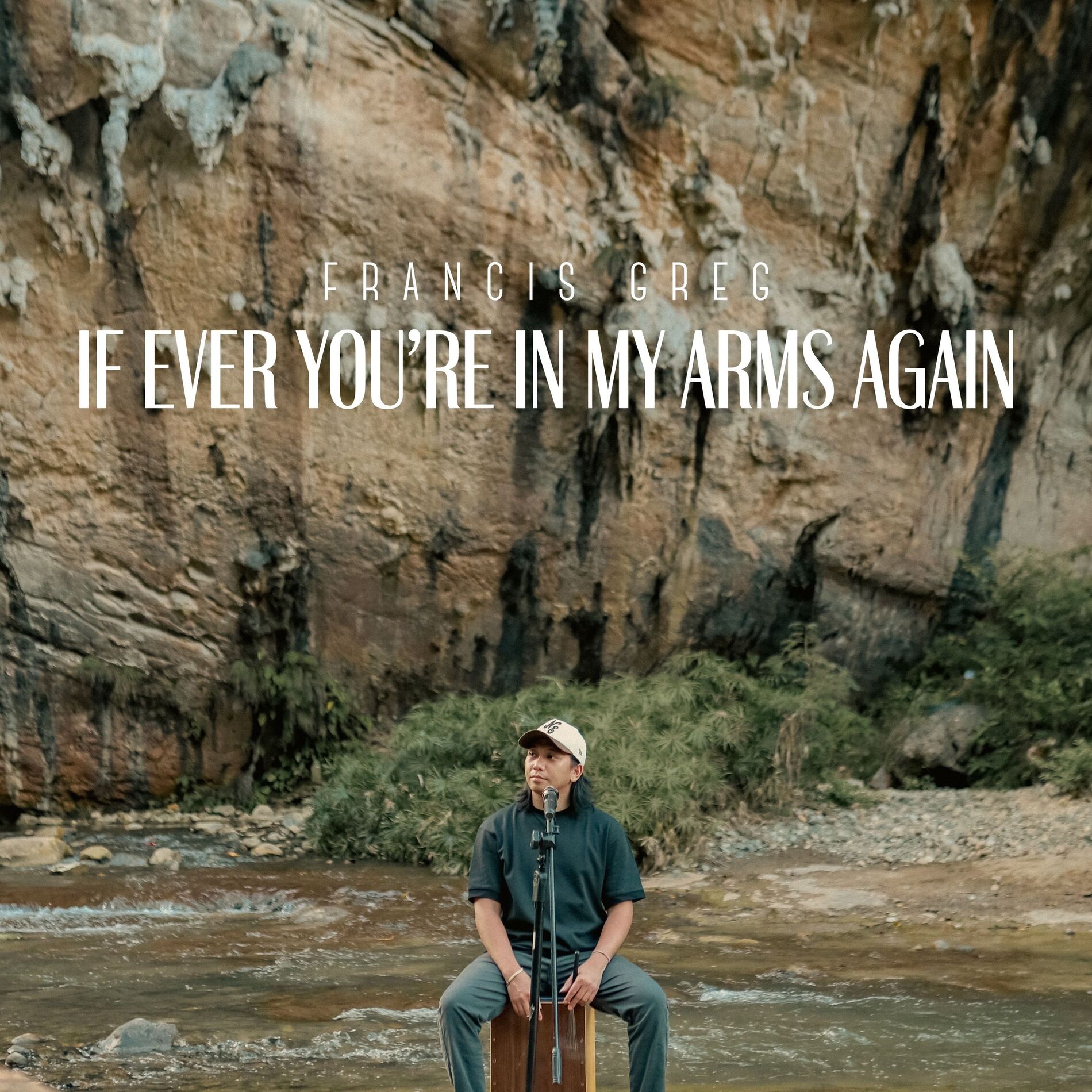 Album cover of If Ever You're in My Arms Again