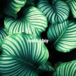 Cover of Fresh As A Daisy