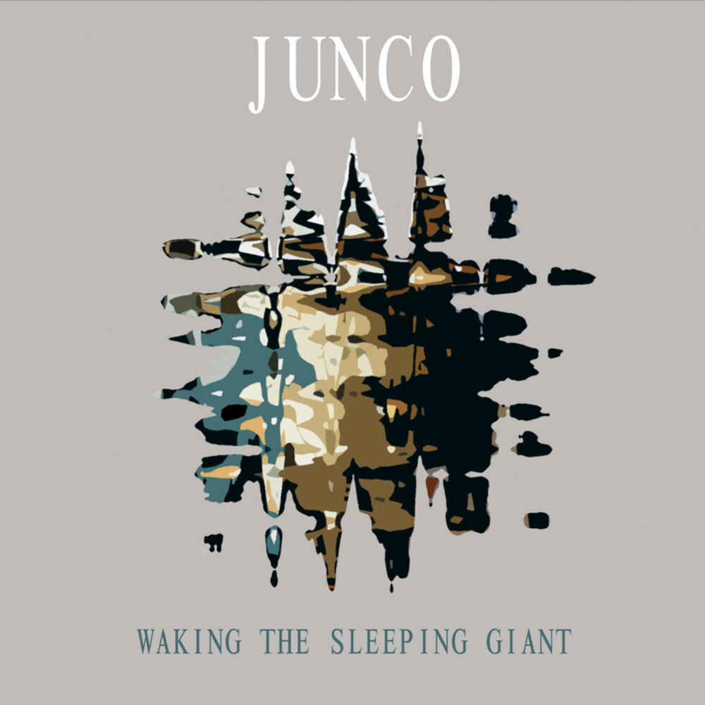 Picture of Waking the Sleeping Giant
