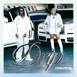 Cover of Drip