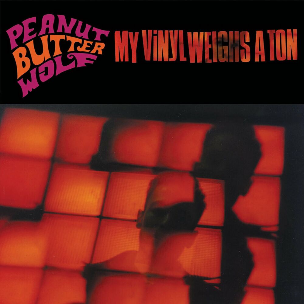 Picture of My Vinyl Weighs a Ton