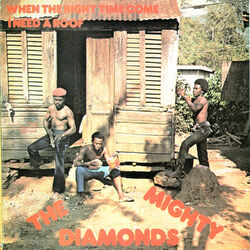 Cover of I Need a Roof