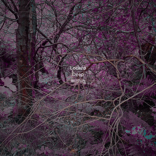 Locked Deep Within