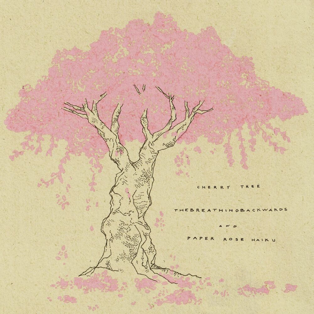 Picture of cherry tree