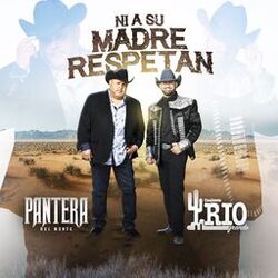 Cover of Ni a Su Madre Respetan