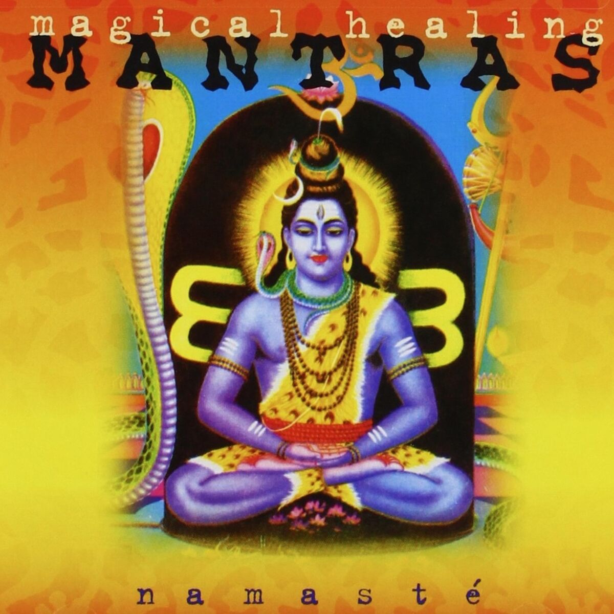 Album cover of Shiva Shambo