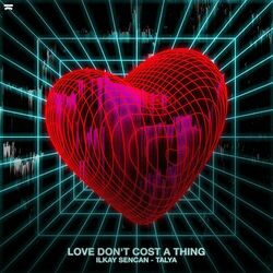 Cover of Love Don't Cost A Thing
