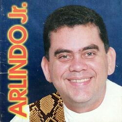 Cover of Pop da Selva