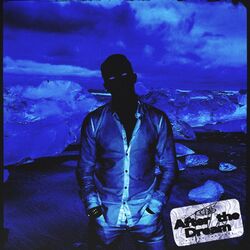 Cover of After the Dream