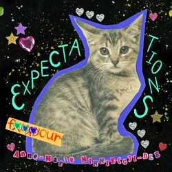 Cover of Expectations