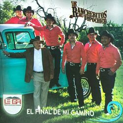 Cover of El Final De Mi Camino