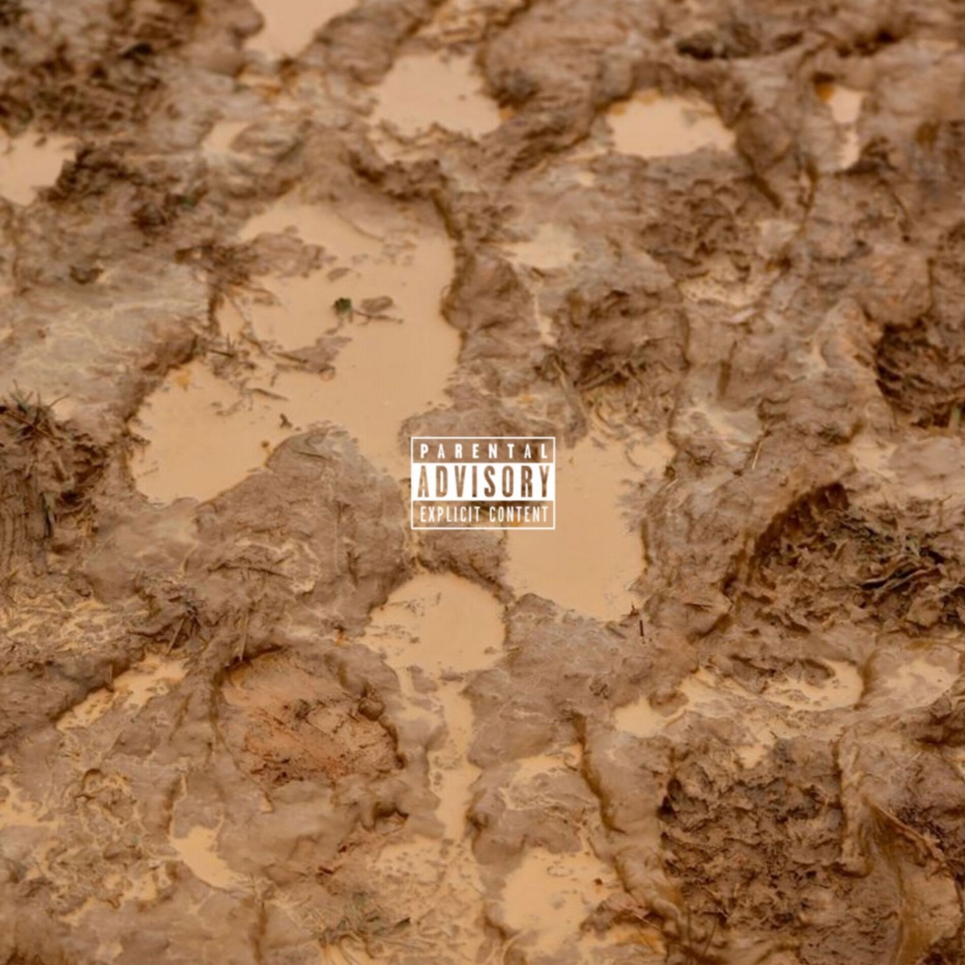 Album cover of Asking