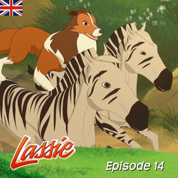 Episode 14: The Star Attraction