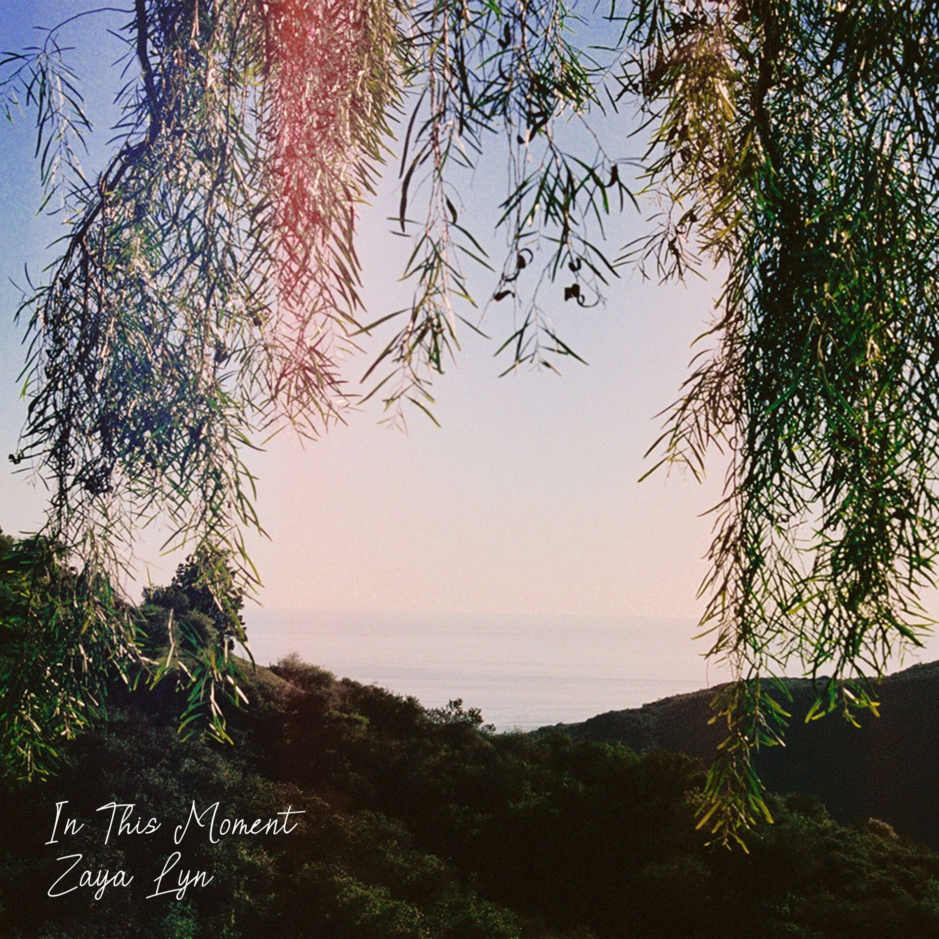 Album cover of In This Moment