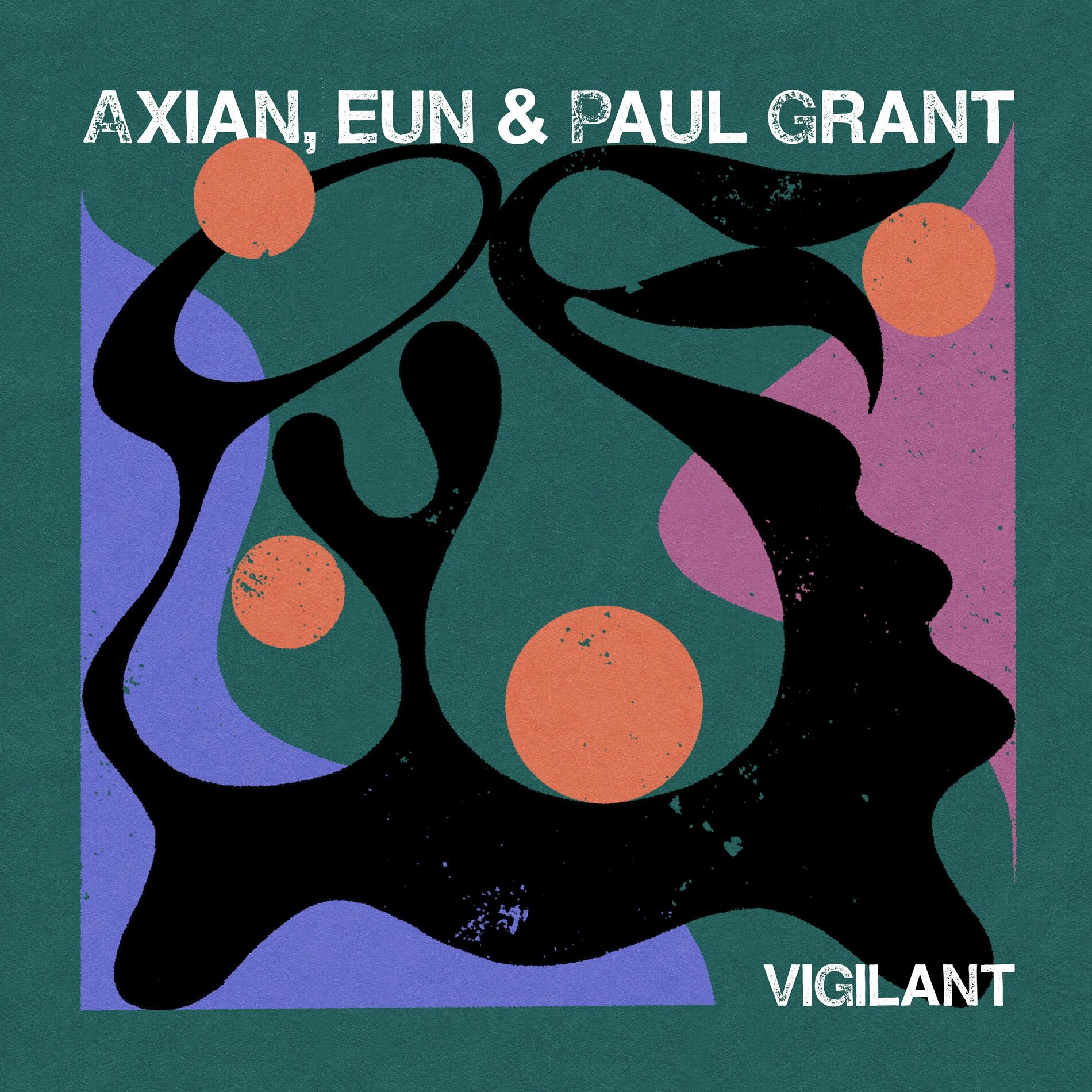Album cover of Vigilant