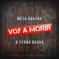 Cover of Voy a Morir