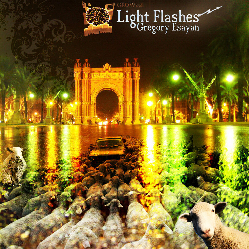Picture of Light Flashes