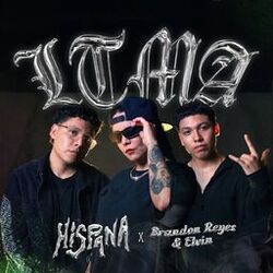 Cover of LTMA