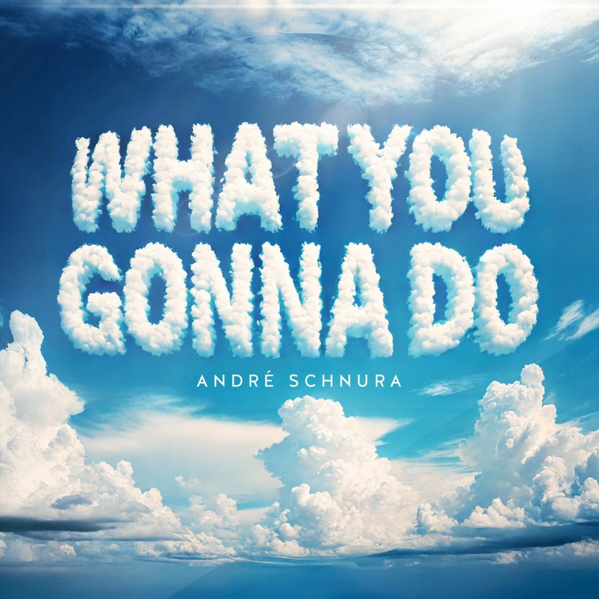 Album cover of What You Gonna Do