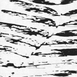 Cover of Extravision