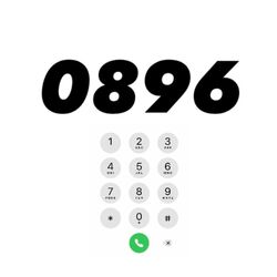 Cover of 0896