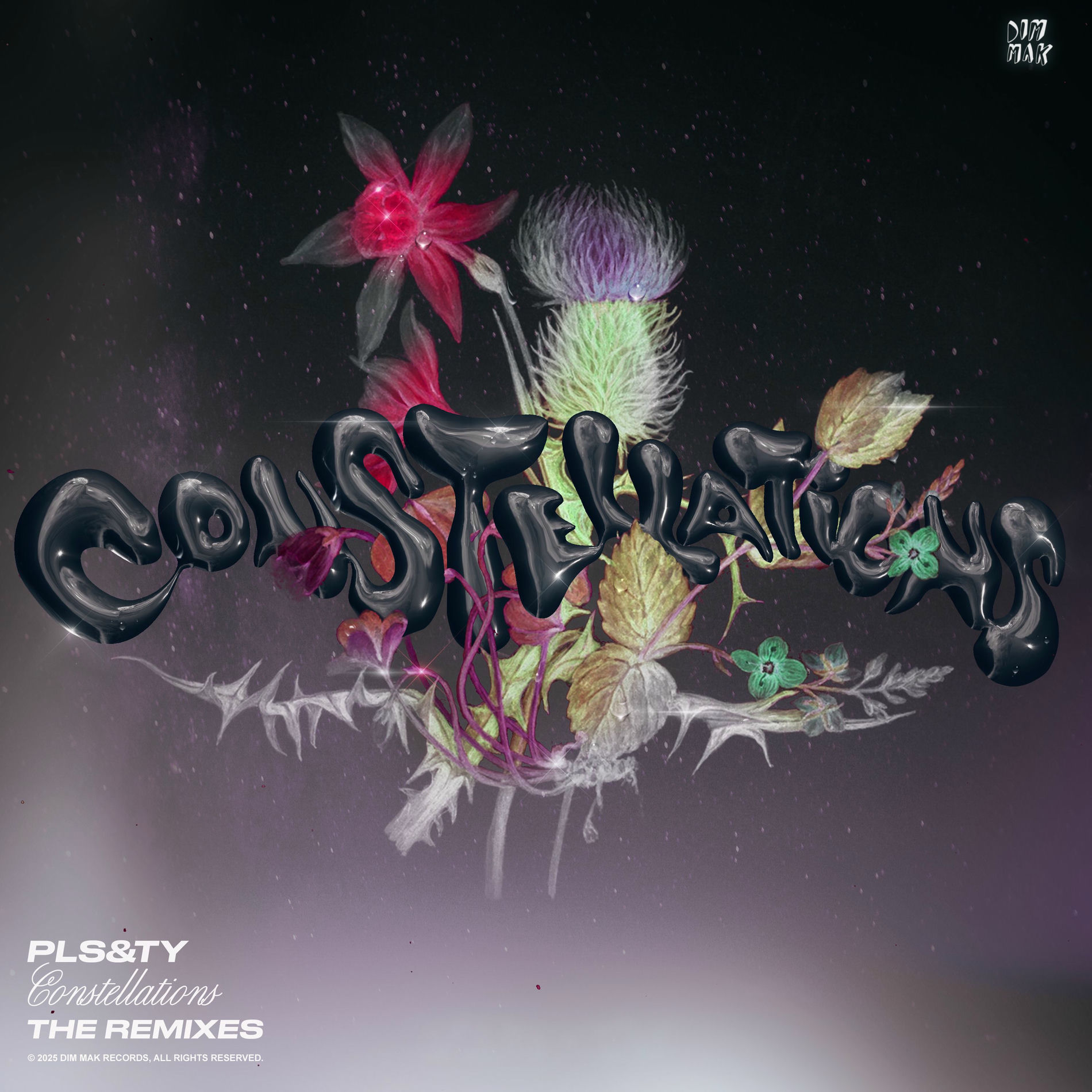 Album cover of Constellations