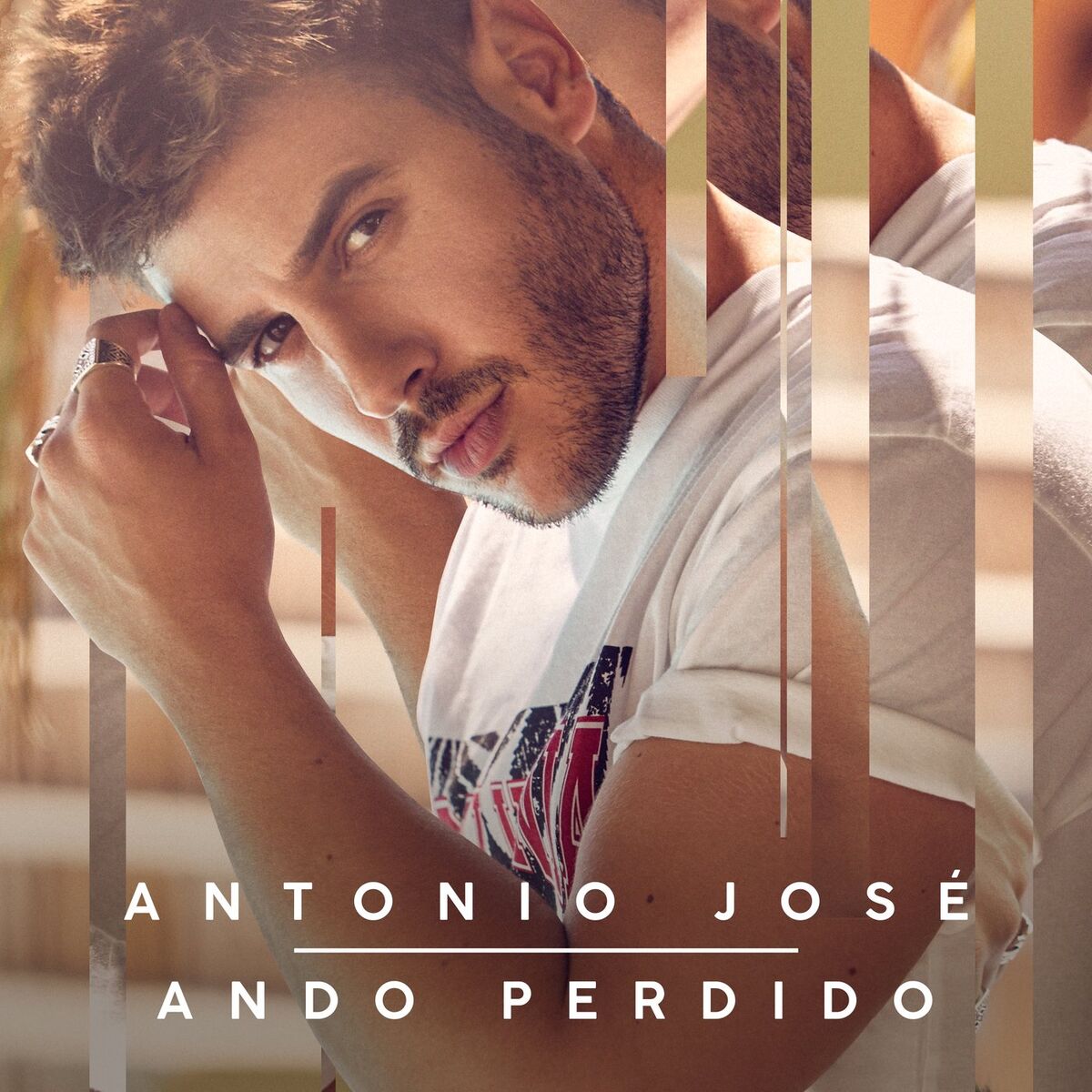 Album cover of Ando Perdido