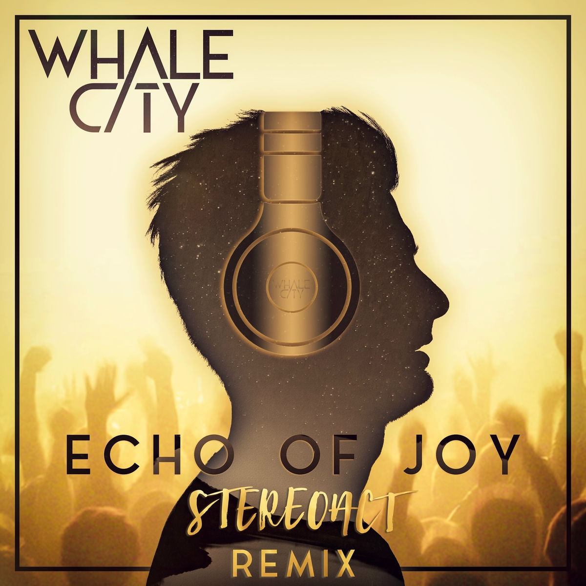 Album cover of Echo Of Joy (Stereoact Remix)