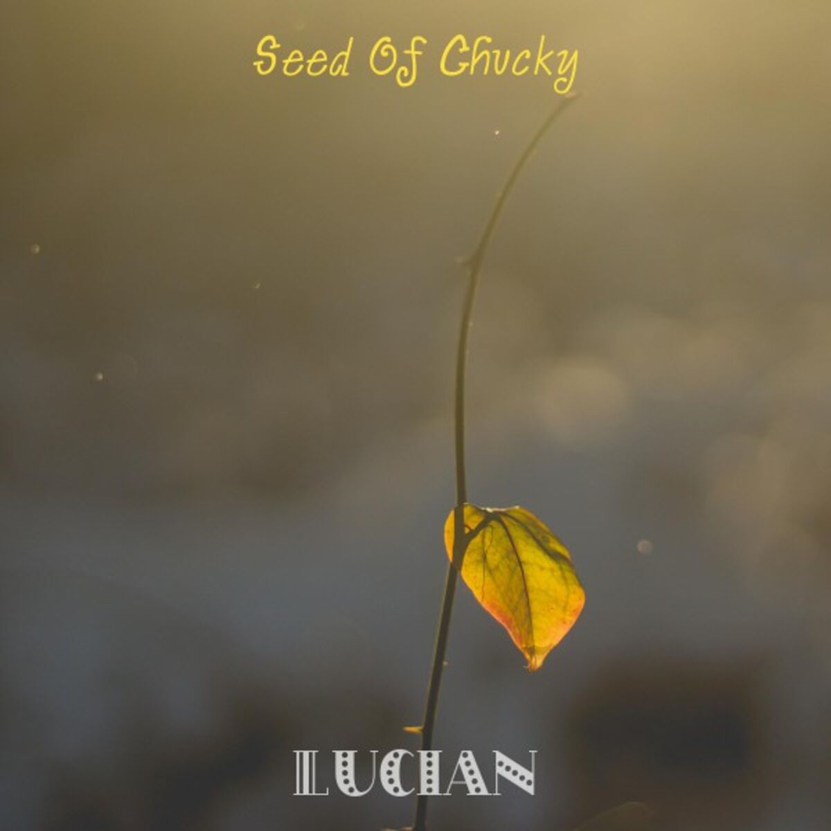 Album cover of Seed of Chucky