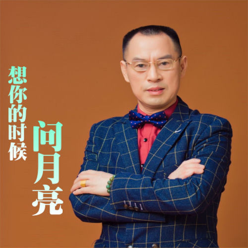 想你的时候问月亮