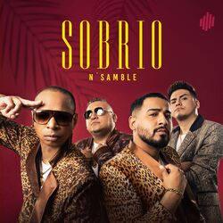 Cover of Sobrio