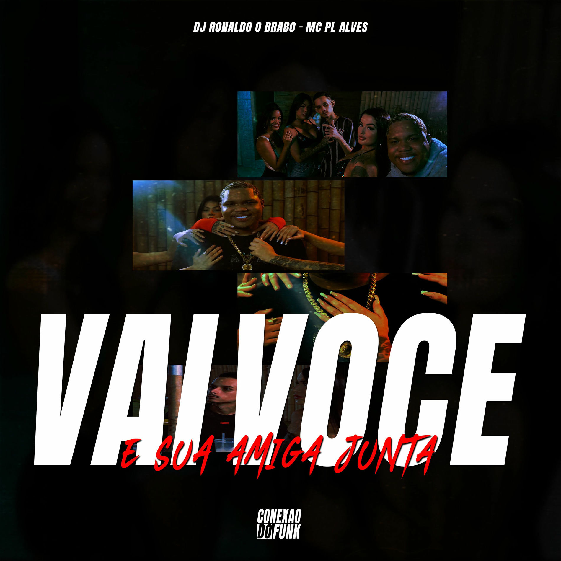 Album cover of Vai Você e Sua Amiga Junta