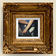 Joy by Iron & Wine album cover