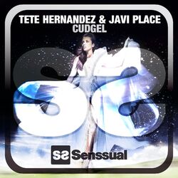 Cover of Cudgel