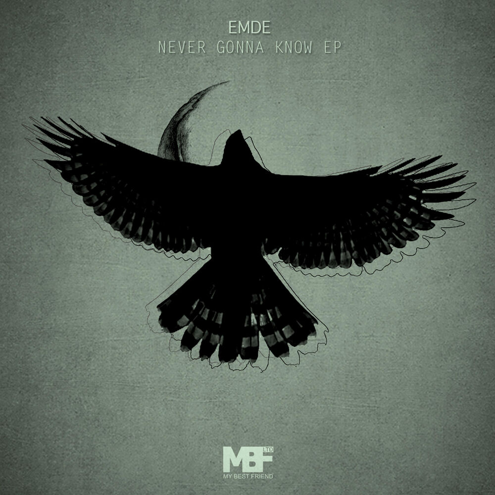 Picture of Never Gonna Know - EP