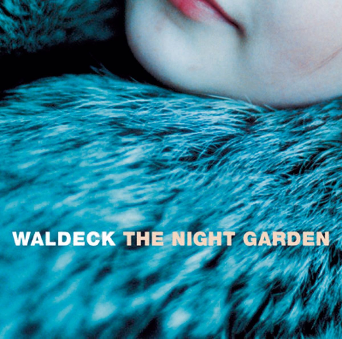 Album cover of Slowly