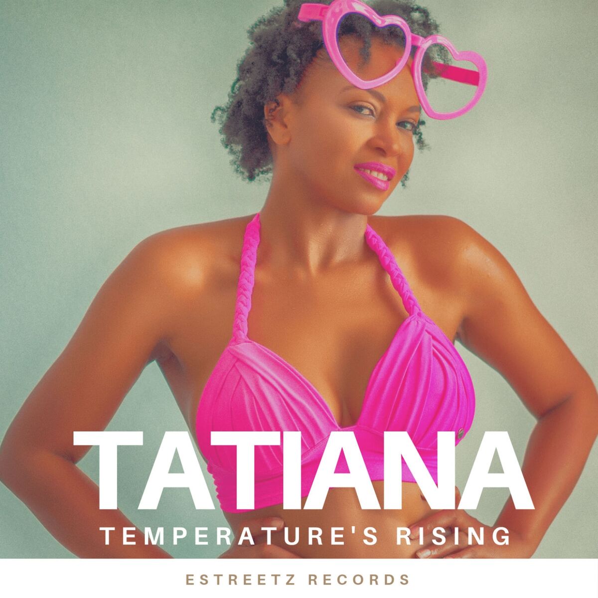 Album cover of Temperature's Rising